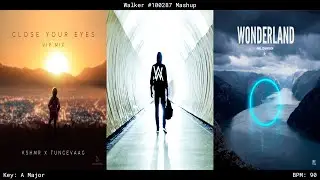 Faded ✘ Wonderland ✘ Close Your Eyes (Mashup) - Alan Walker, Axel Johansson & KSHMR Ft. Tungevaag