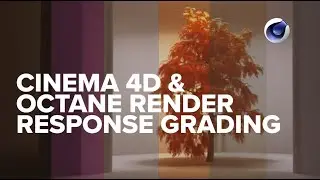 - Cinema 4D & Octane Render Color Response Grading