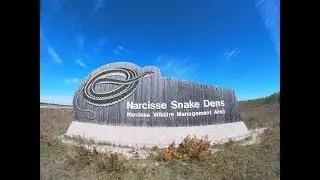 Narcisse Snake Den - Manitoba, Canada