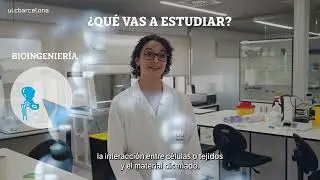 Biotechnology, bioengineering and biomedicine (key differences).