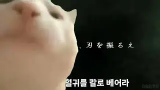cat vibing to the new demon slayer opening (Demon Slayer: Kimetsu no Yaiba Season 3)
