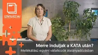 Mellékállású egyéni vállalkozók átalányadózásban