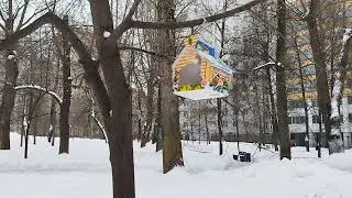 М.Ю. Лермонтов. "Нищий"