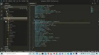 Basic Concept of Angular node modules and package  json