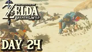 Reuniting With Cabbage and Cup - Breath of the Wild | DAY 24