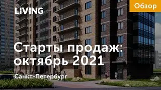 Старты продаж октября: город-спутник у «Ломоносовской», новинка в Мурино и квартиры на севере СПб