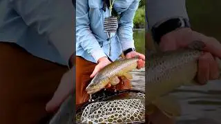 Fishing math just makes sense! #fishing #flyfishing #flyfishinglife #fishinglife