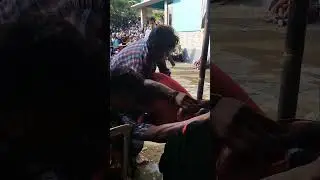 NGAMUK ‼️CAHYO MUDHO SABDOGUNO