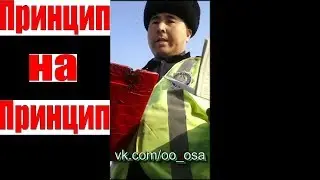 ПРИНЦИП НА ПРИНЦИП. ГАИ ДПС. ОСА КАРАГАНДА