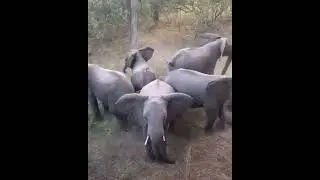 Вот что значит род и родня  Если у вас так  же, то вам ничего не страшно