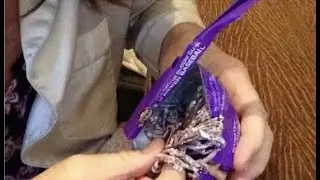 Angela Bright One Hour Juicy Grape Bubble Gum, Soft Spoken ASMR evening relaxation
