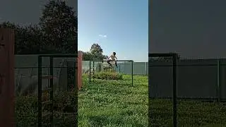Сидя лез по брусьям