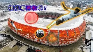 為了救一粒，牺牲了兩粒 | Shooting Star Meme