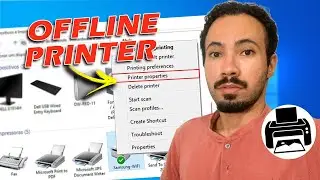 How to Fix Offline Printer in Windows [Change It to Online]