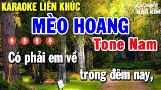 Karaoke Liên Khúc Mèo Hoang Tone Nam | Tuyển Chọn Những Bài Nhạc Trữ Tình Dễ Hát