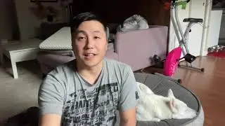 The best and worst things about owning a Jindo! (Fred)