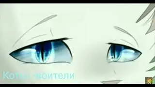 Клип коты-воители))