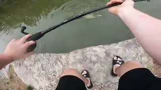 4 piece shad swimbait