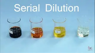 Serial Dilution | Marathi
