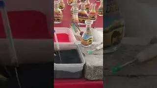 Capturing the Desert: The Art of Bottled Sand Magic