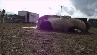 Calypso | Slow Motion Rolling  [12.7.15]