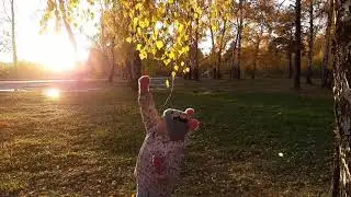 Тиг и лео