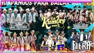 Lo Mas Nuevo 2022 - Los Avila y Grupo Legitimo y Conjunto Nube - Mix De Huapangos 2022