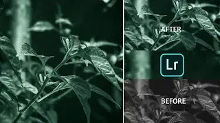 lightroom moody green colour grading//lightroom editing