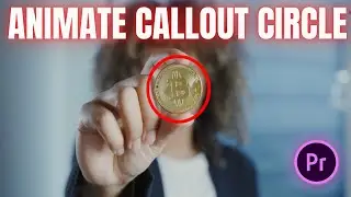 How to Animate Red Callout Circle Shapes in Adobe Premiere Pro | Premiere Pro Tutorials