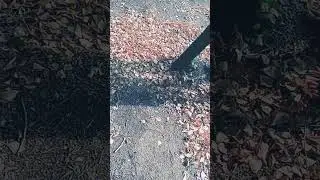 9 сентября 2024