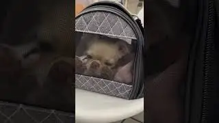 И правда, почему?! 