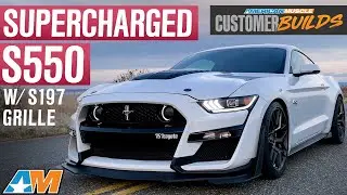 Supercharged 2015 S550 Mustang with S197 Fog Light Grille | AmericanMuscle Customer Builds
