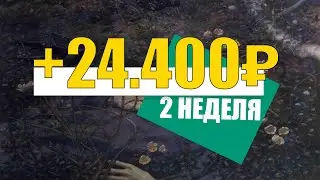 💲 ДЕШЕВЫЕ АМЕРИКАНСКИЕ АКЦИИ ПО 3$. КУДА ВЛОЖИТЬ ДЕНЬГИ ?