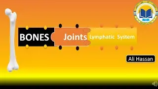 Bones & Joints|| Lymphatic System||For Beginners||Pharmacy(Technician)|| Exams MCQs||By Ali Hassan