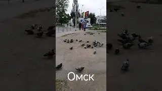 Омск