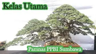 Kelas Utama Pameran dan Kontes Nasional