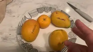 Sein Ta Lone Guava mango tasting