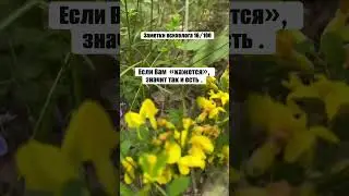 Заметки психолога 16/100 #психология #psychologyfacts #психолог #psy #психологияотношений
