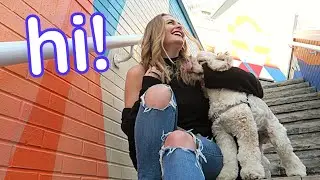 Welcome to In Ruff Company! 🐶