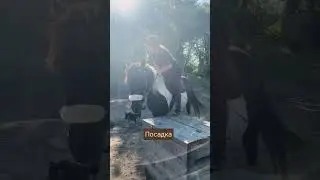 Тренировочный процесс 🔥