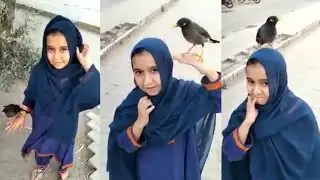 Hiba Aur Uski Chhoti Si Friend, Parinde Ki Hiba Se Mohabbat | @MuslimMediaStudio786.