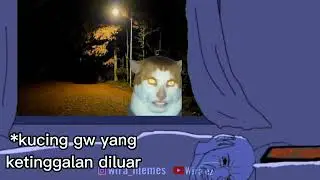 Kucing Di Jam 3 Pagi...