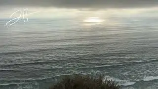 EarthStar Year 0 Live LightSong - Ft Dolphin Jump