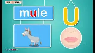 Long /ū/ Sound - Fast Phonics I Learn to Read with TurtleDiary.com - Science of Reading