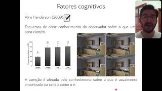 Aula - Atenção visual (parte 2)