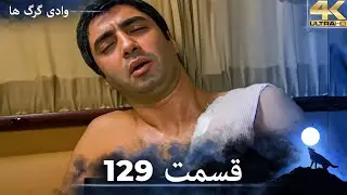 وادی گرگ ها | 129. قسمت را تماشا کنید (Farsi Dubbed)