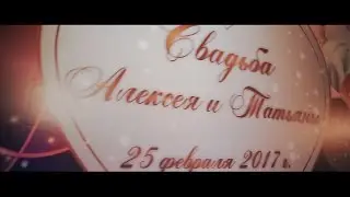 Свадебный клип Алексея и Татьяны. Infofo.ru 2017 год.