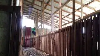 Farming in laos