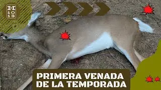 La primera de la temporada! Como destazar venados | Caceria y limpia de venada cola blanca