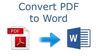 convert PDF to Word document